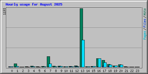 Hourly usage for August 2025