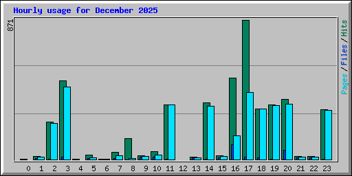 Hourly usage for December 2025