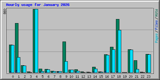 Hourly usage for January 2026