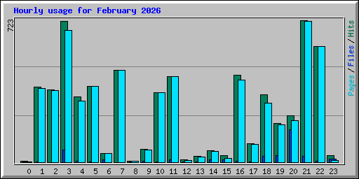 Hourly usage for February 2026